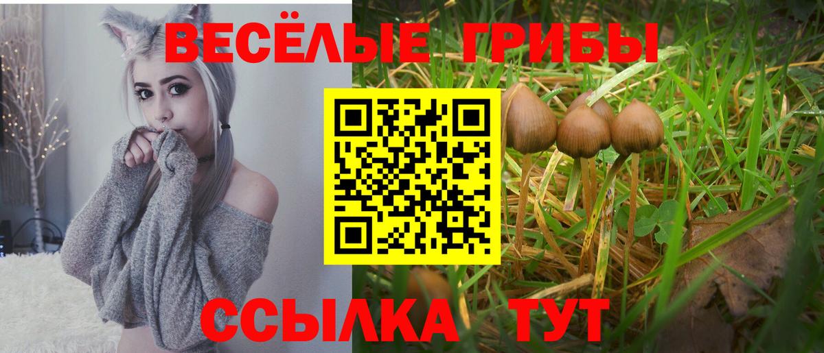 Псилоцибиновые грибы MAGIC MUSHROOMS  Галлюциногенные грибы MAGIC MUSHROOMS  Уссурийск  Вход с VPN 